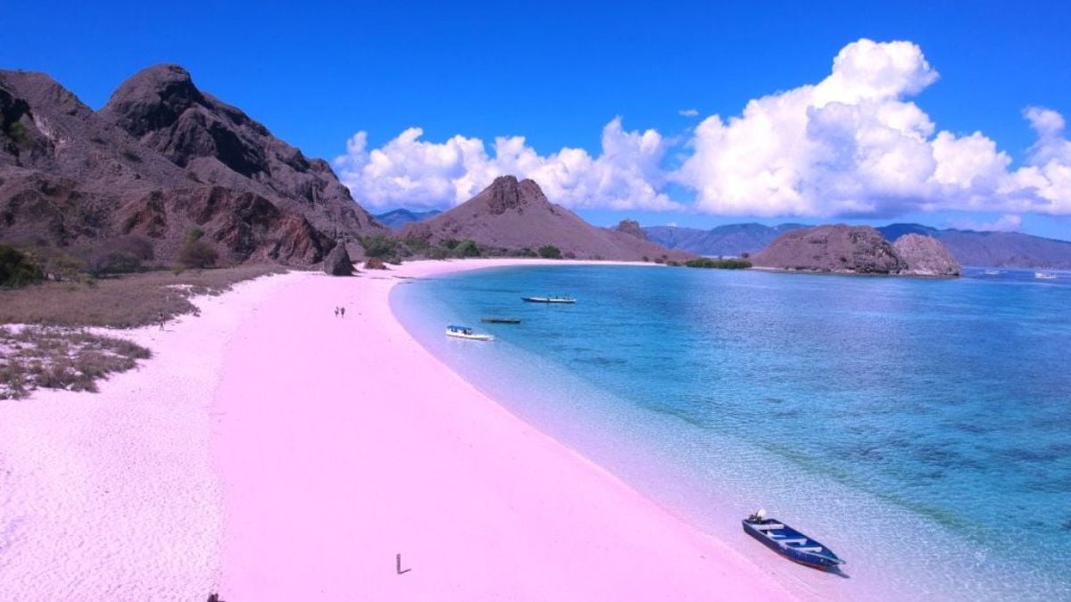 Tajuk: "Sekelas Pendorong Kecantikan alami dari Pulau Komodo"