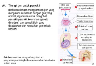 Muka Mengandungi DNA Klon? Teknologi Kecantikan Tersembunyi