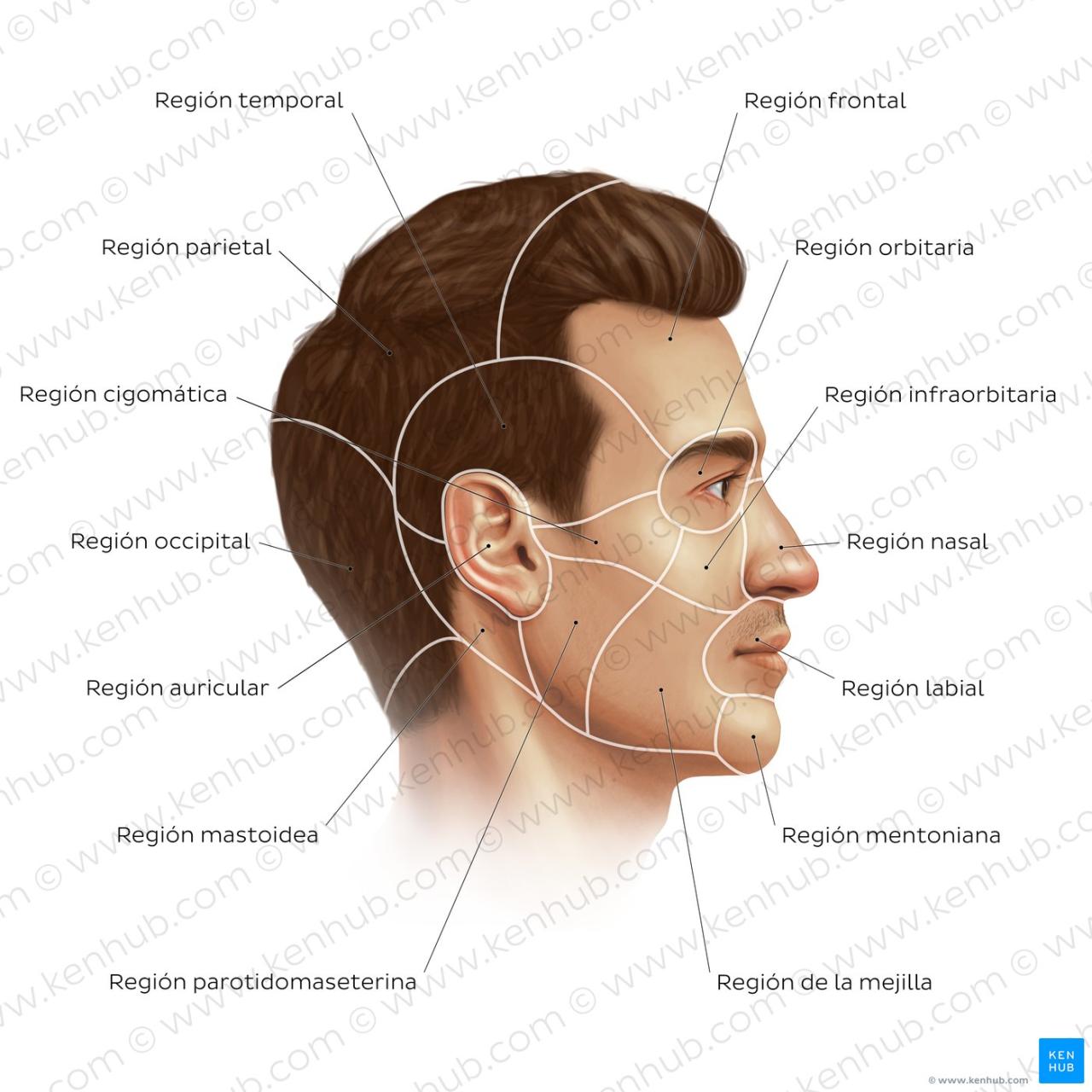 Cara Buat Hair Oil Infusi Bunga Ros Di Rumah Dengan Mudah